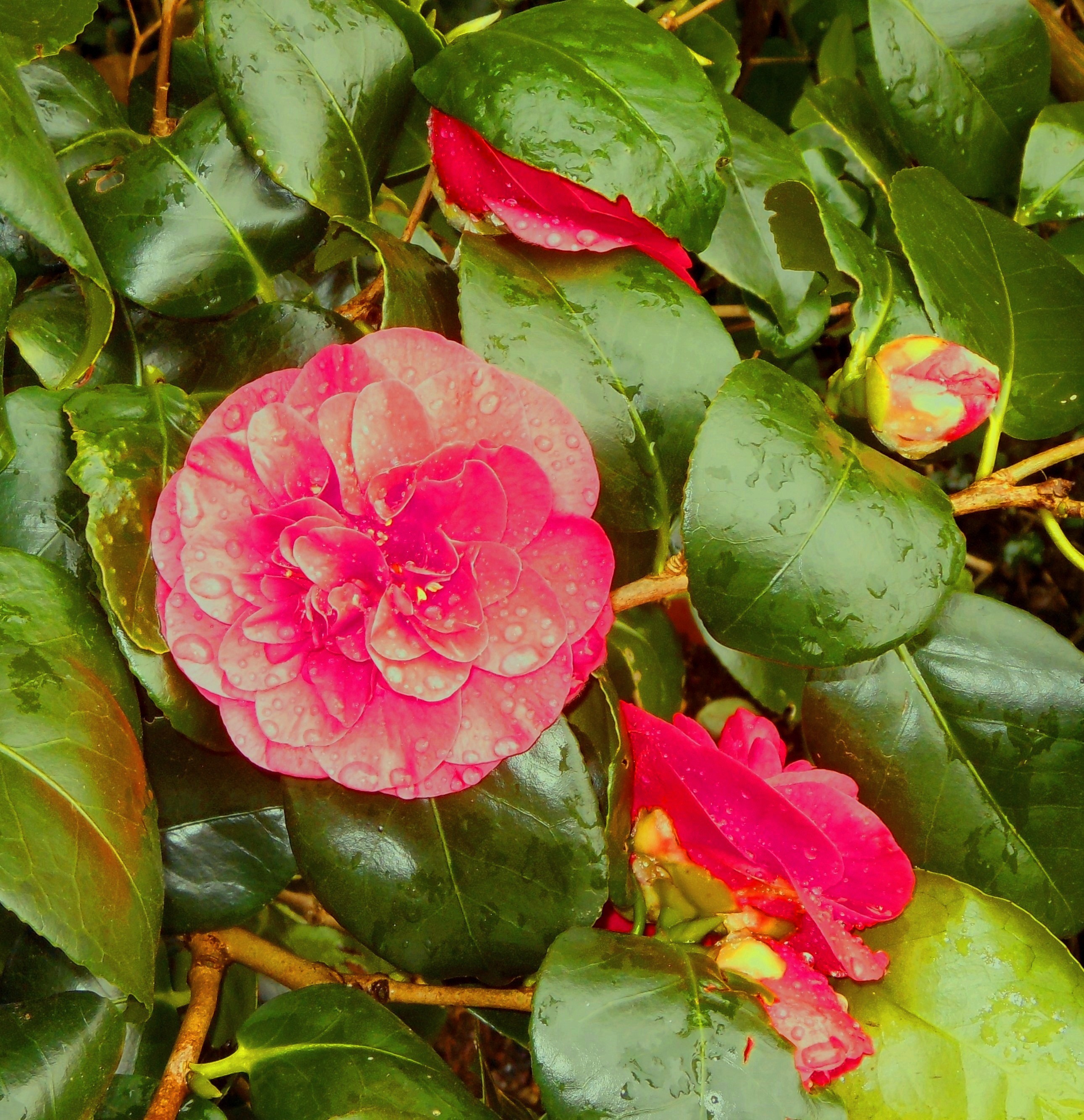 Blog/April 20 Blog pic 12